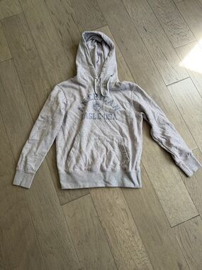 American Eagle Outfitters Light Gray Pullover Hoodie with Logo